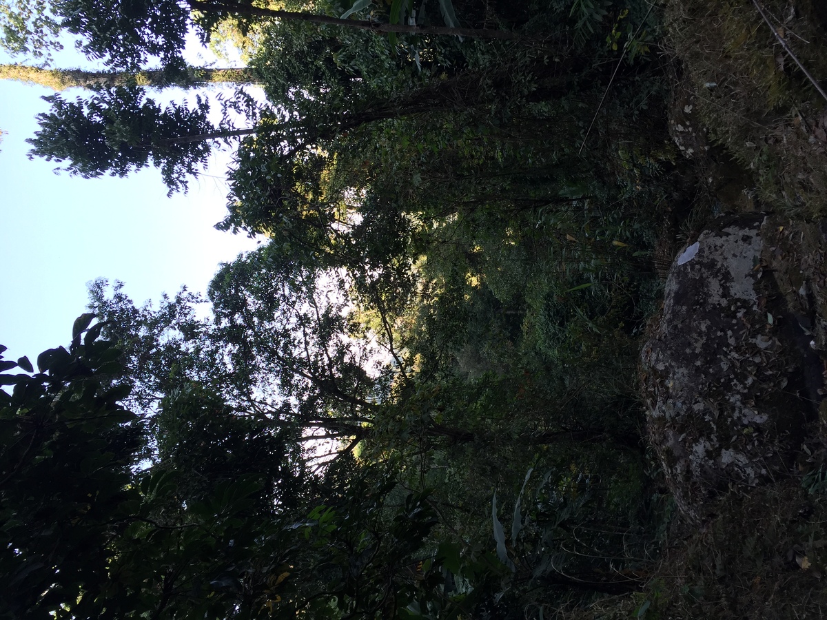 Photo Thaïlande Parc National Phu Hin Rong Kla 2014-12 227