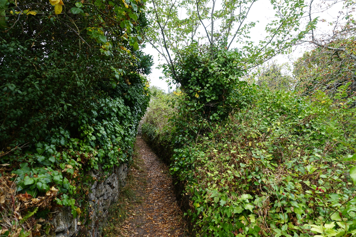 Photo France Île-aux-Moines 2016-08 77