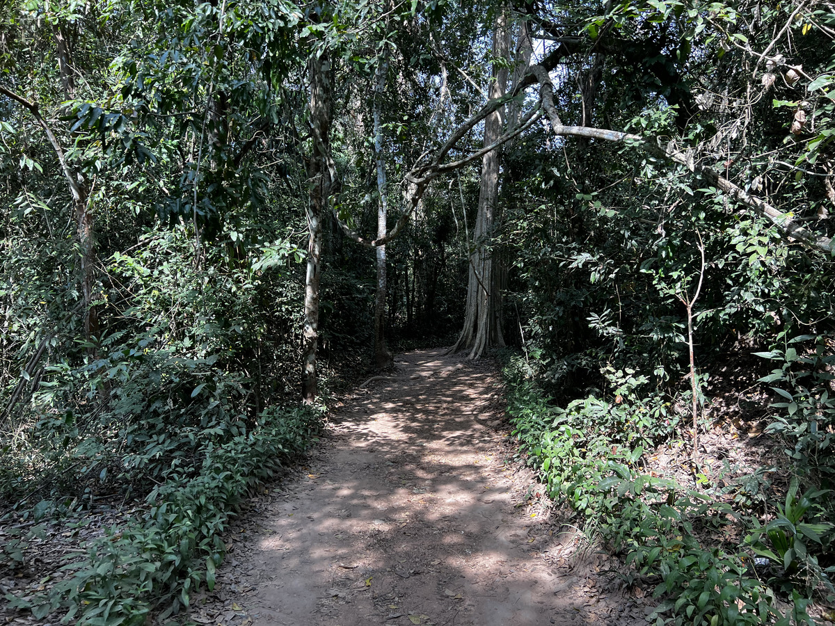 Photo Cambodge Siem Reap Ta Prohm 2023-01 139