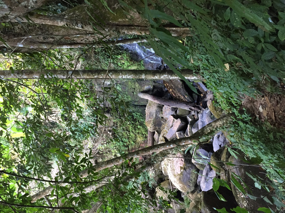 Photo Thaïlande Parc National Phu Hin Rong Kla 2014-12 206