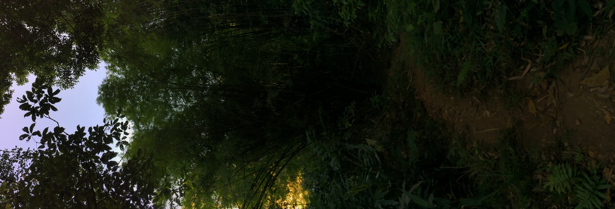 Photo Thaïlande Parc National Phu Hin Rong Kla 2014-12 155
