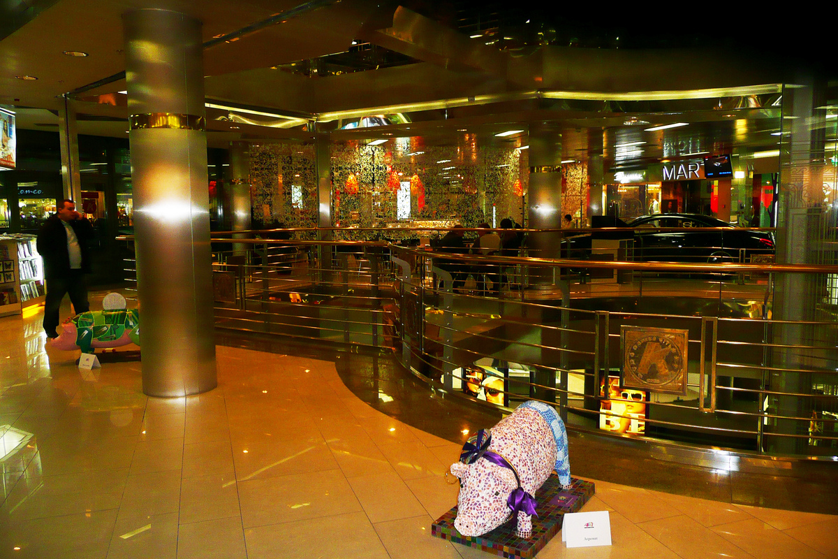Photo Ukraine Kiev Arena city 2007-11 18