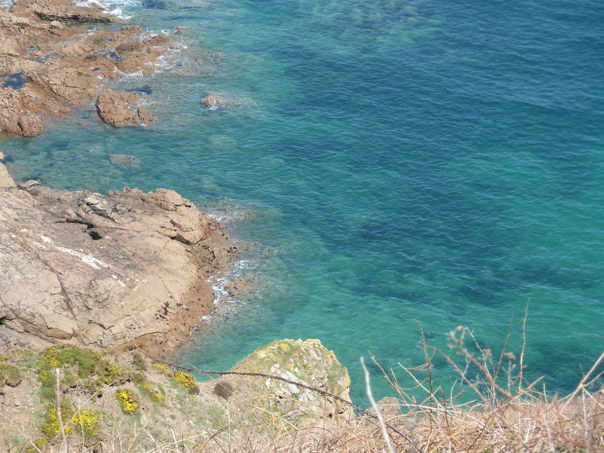 Photo Jersey Jersey Plemont 2010-04 4