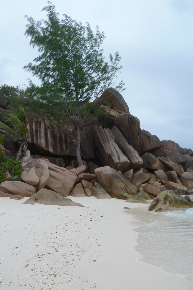 Photo Seychelles La Digue 2011-10 126