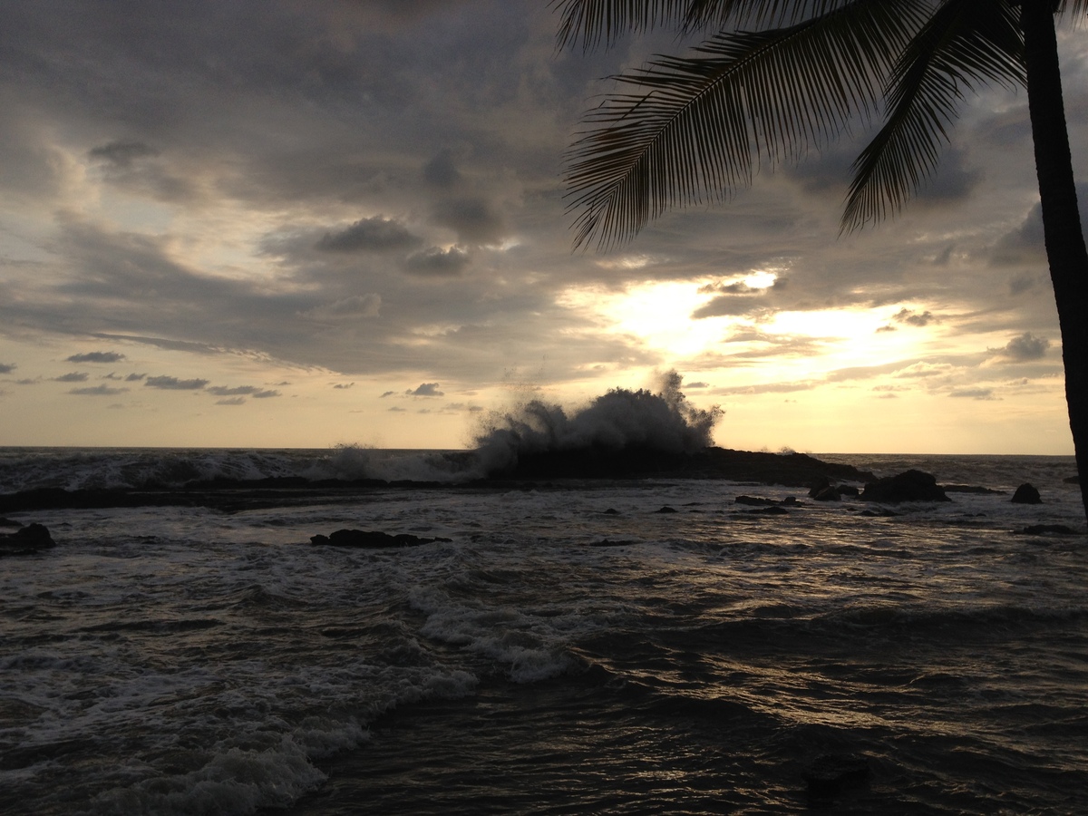 Photo Costa Rica Dominical 2015-03 7