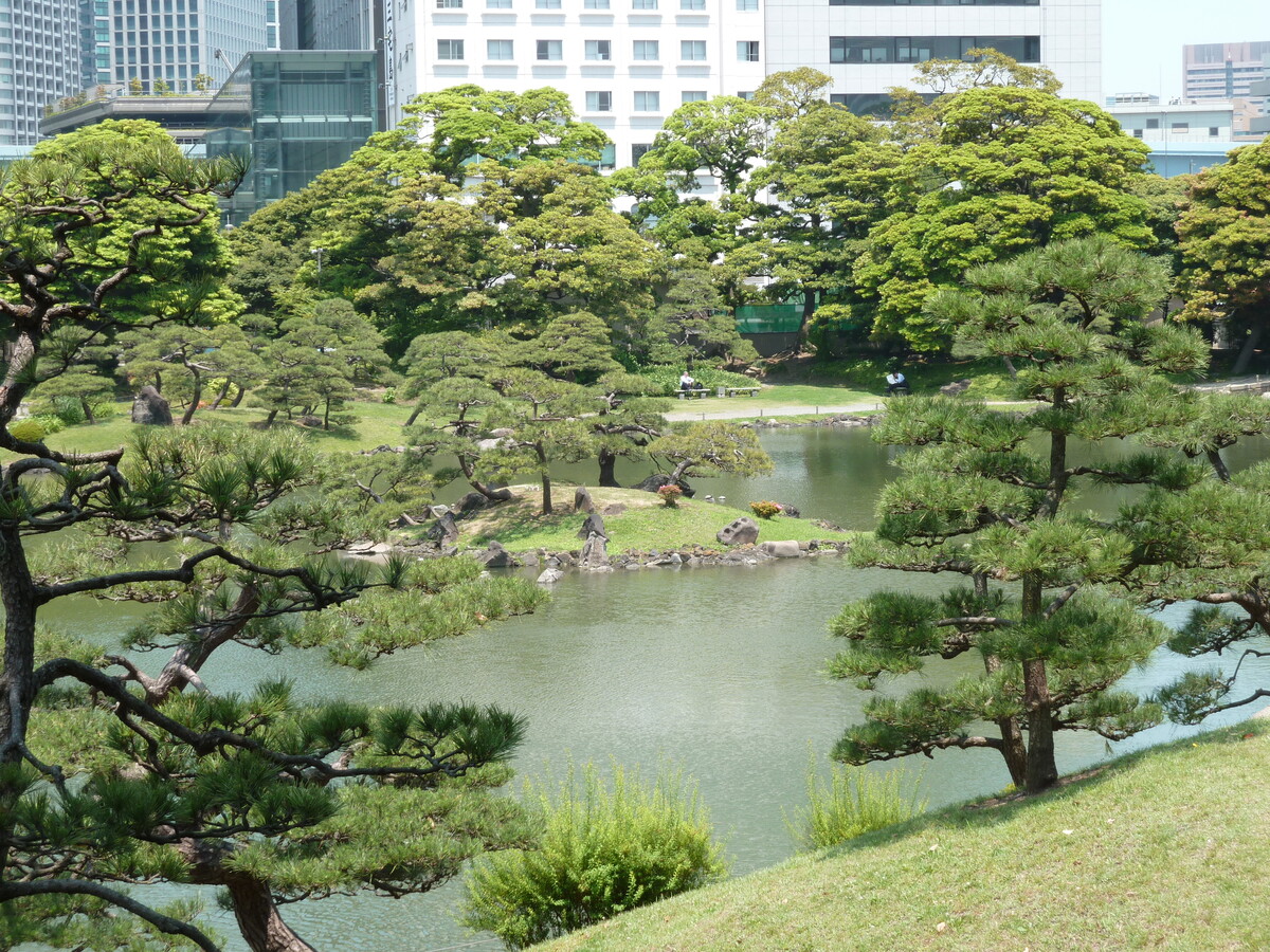 Photo Japon Tokyo Jardins Kyu Shiba rikyu 2010-06 28