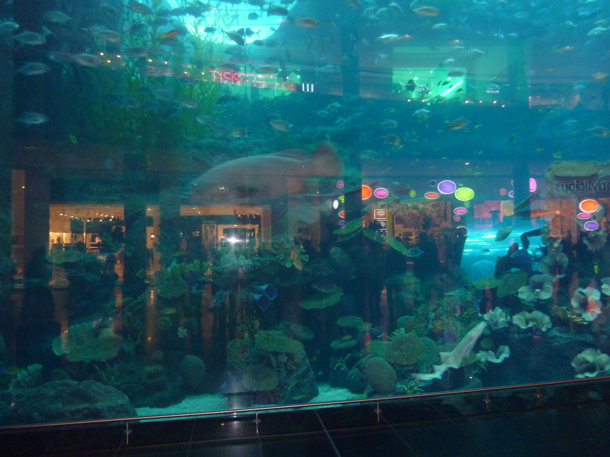 Photo Émirats arabes unis Dubai Dubai Mall 2009-12 71