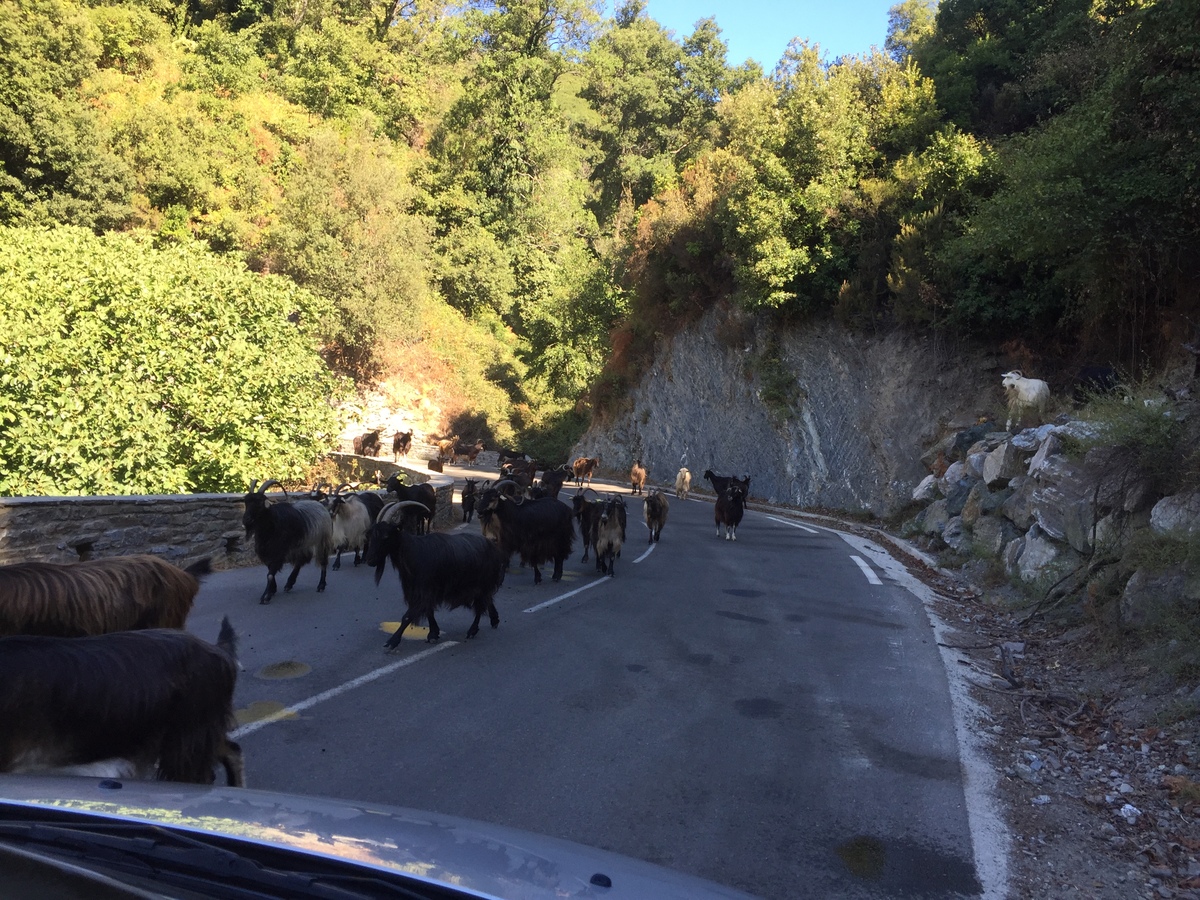 Photo France Corse Felce 2017-09 10