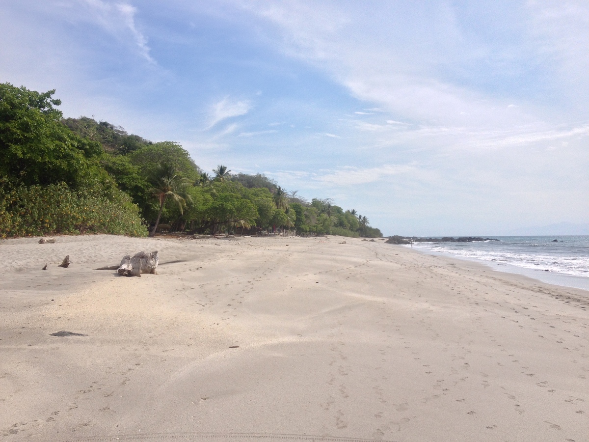 Photo Costa Rica Montezuma 2015-03 109