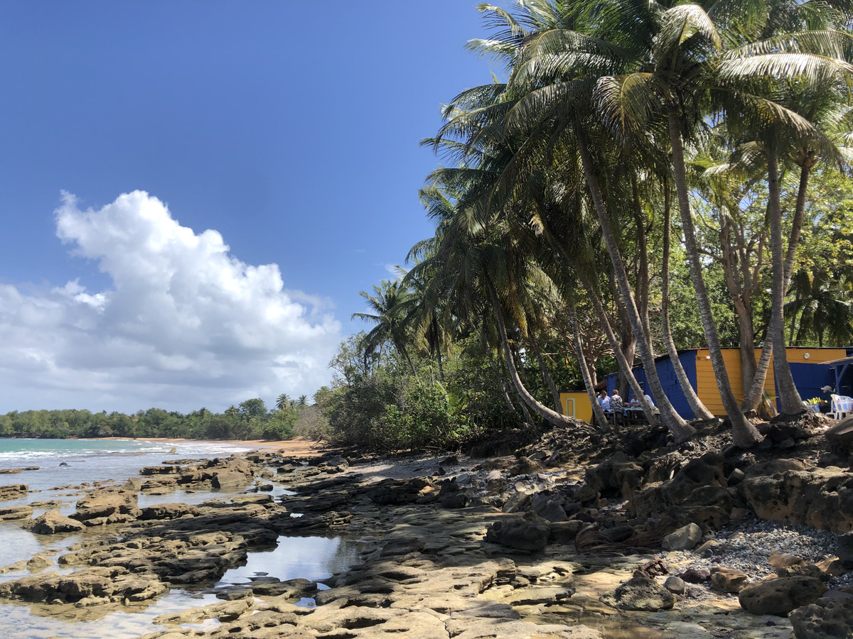 Photo Guadeloupe Plage de Clugny 2021-02 15