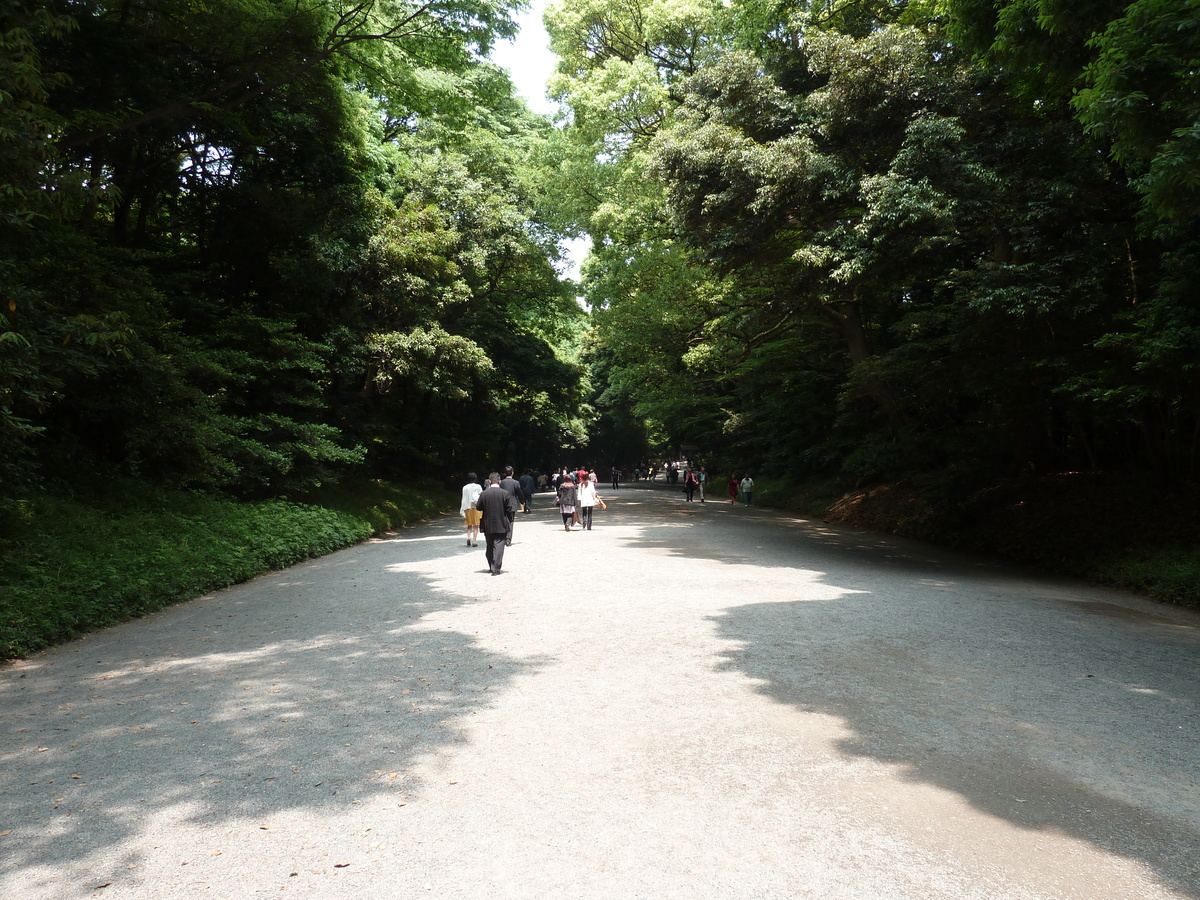 Photo Japon Tokyo Parc Yoyogi 2010-06 15