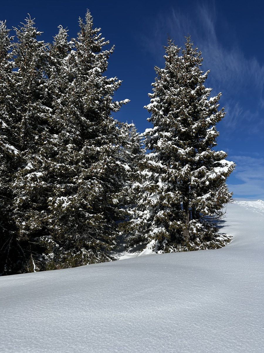 Photo France Megève 2022-02 25