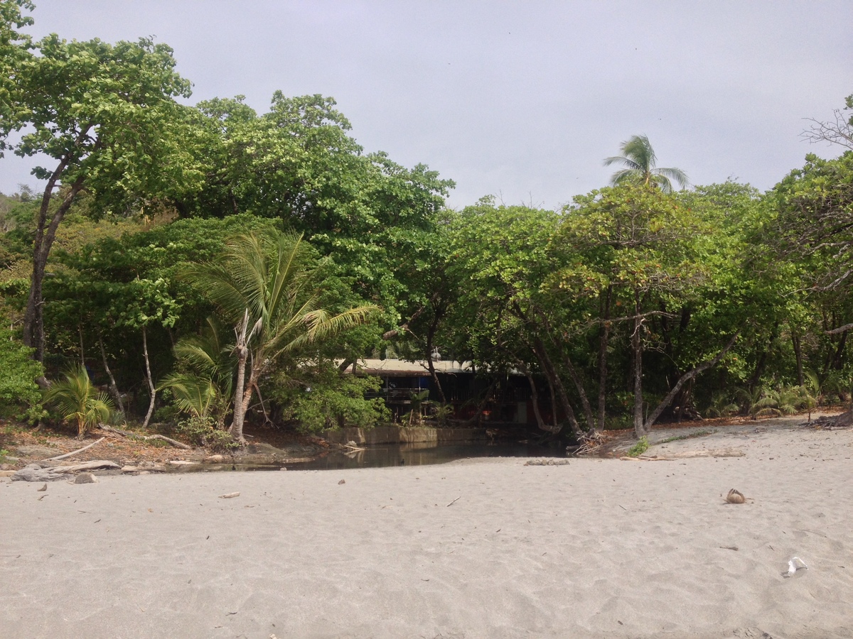 Photo Costa Rica Montezuma 2015-03 545