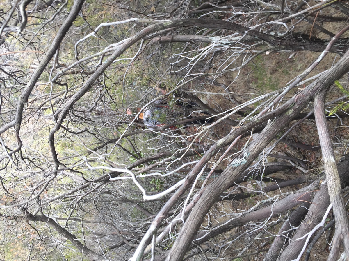 Photo France Corse Cascades de Purcaraccia 2017-09 141