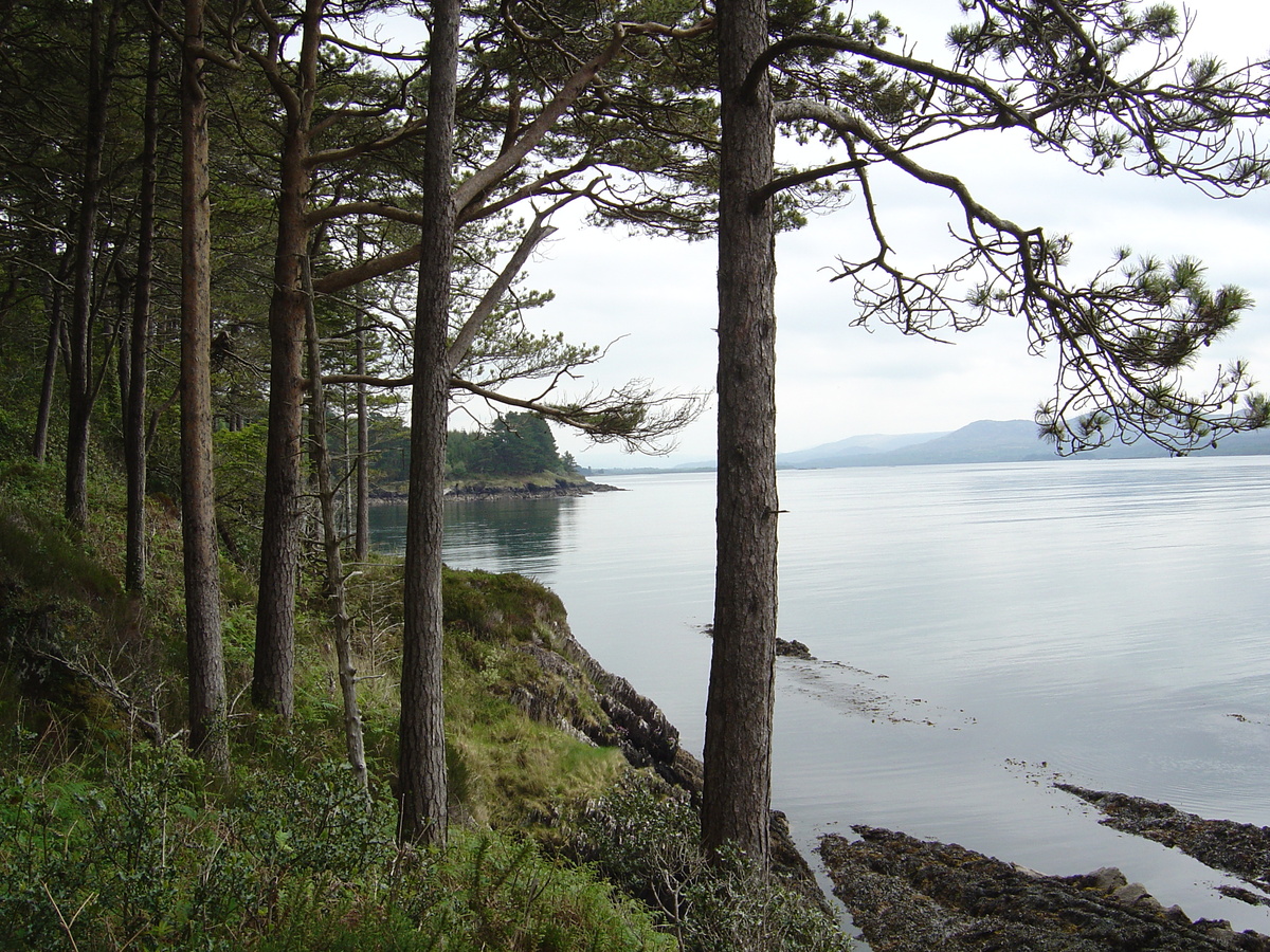 Photo Irlande Kerry Kenmare Templenoe 2004-05 4