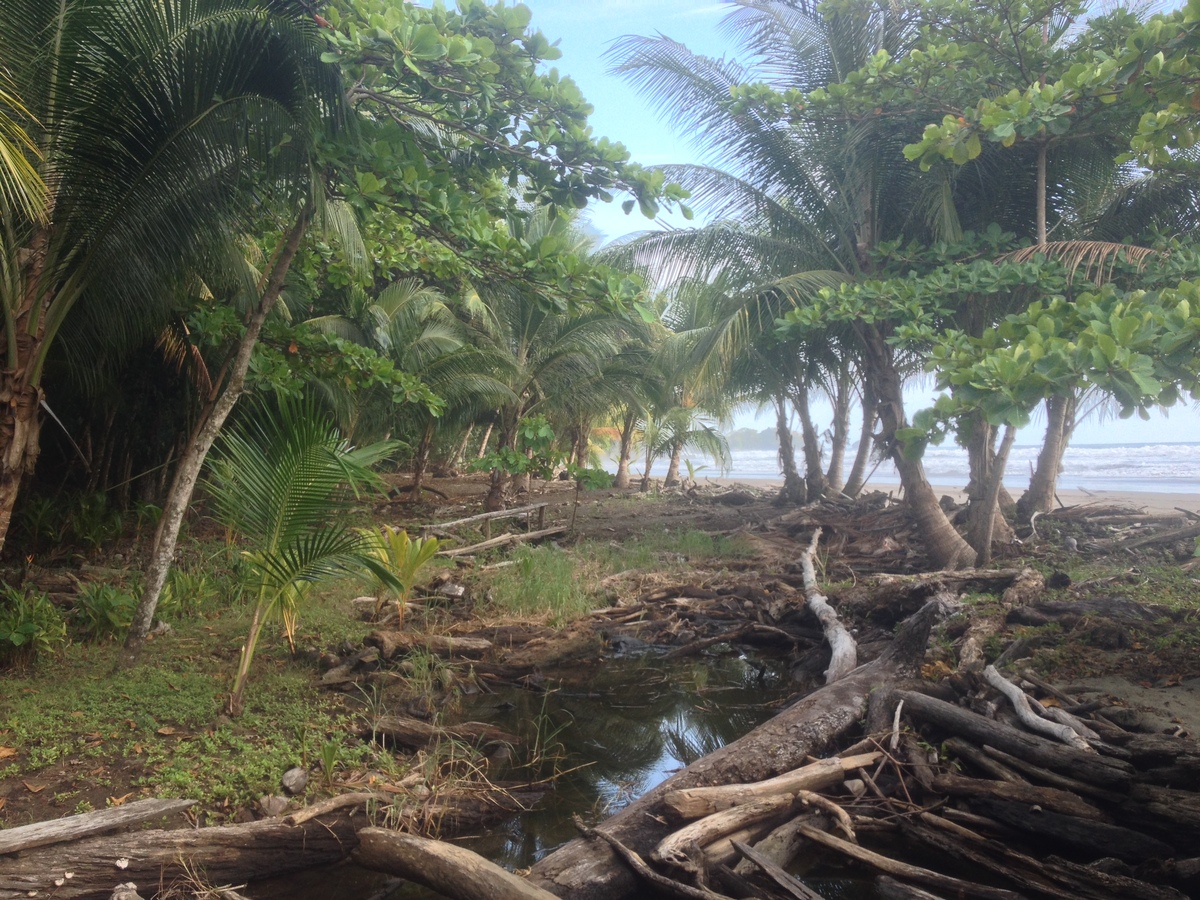 Photo Costa Rica Dominical 2015-03 98