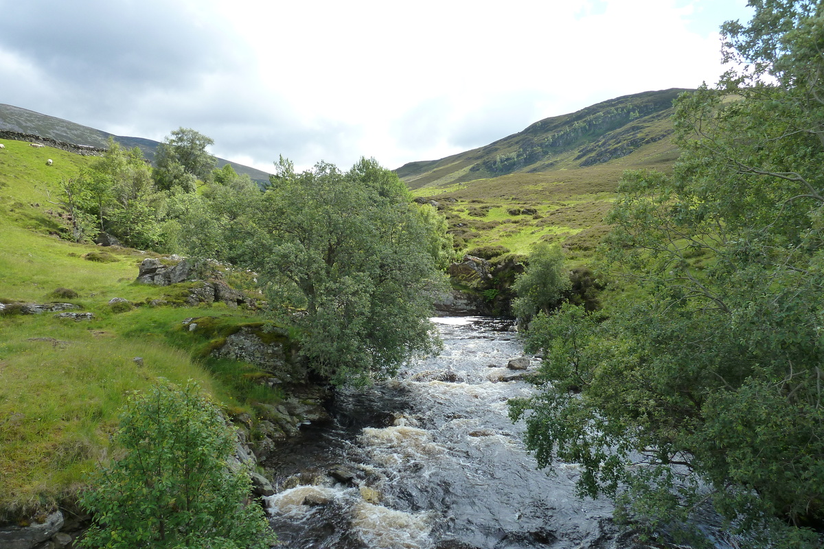 Photo Royaume-Uni Les Cairngorms 2011-07 111
