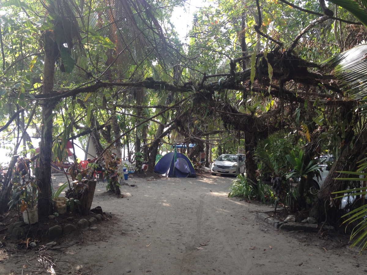Photo Costa Rica Parc Manuel Antonio 2015-03 244