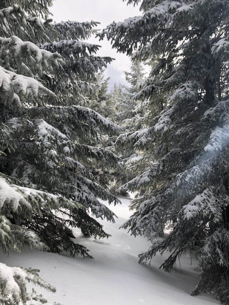 Photo France Megève 2019-03 0