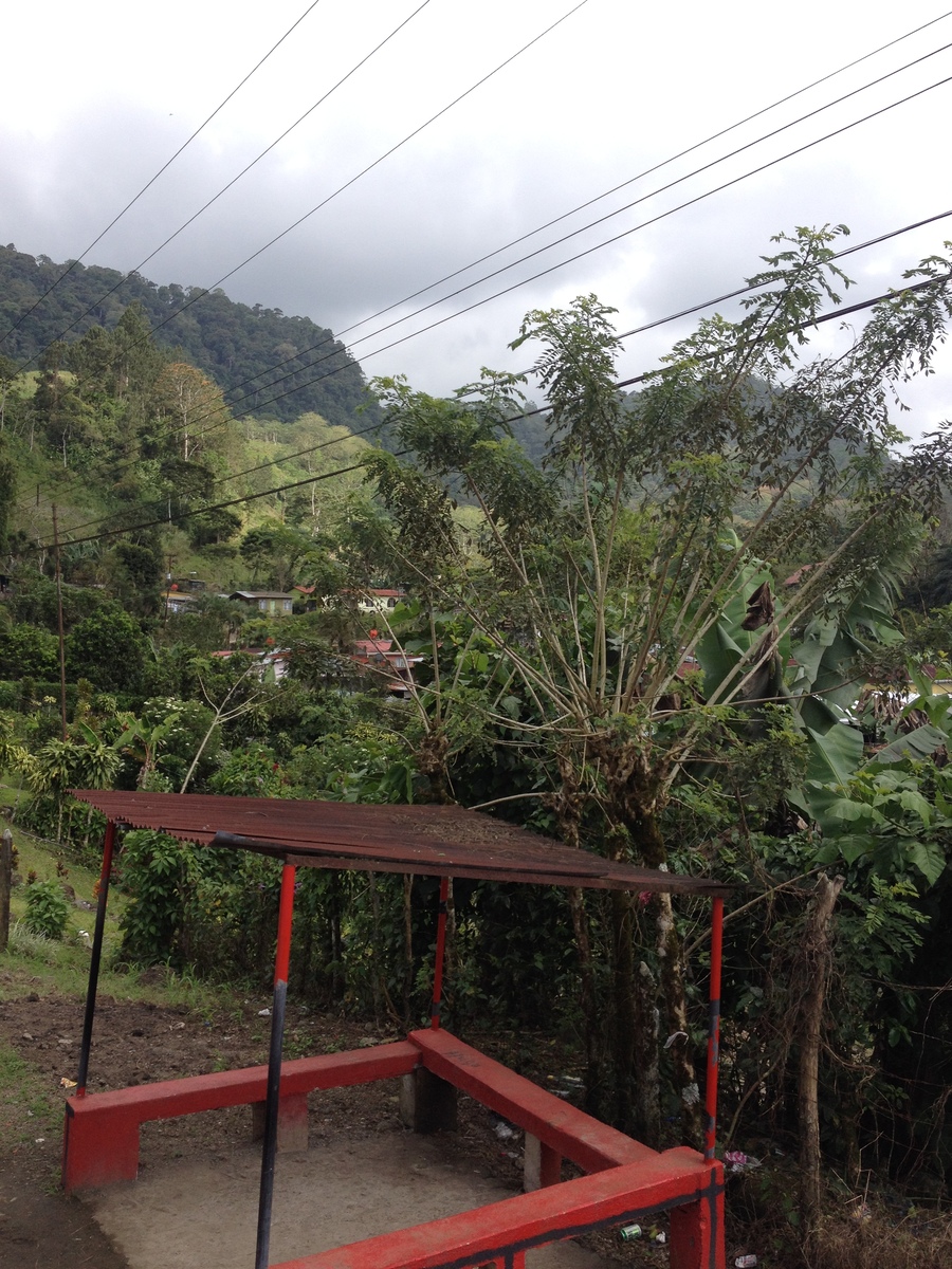 Photo Costa Rica Turrialba 2015-03 62