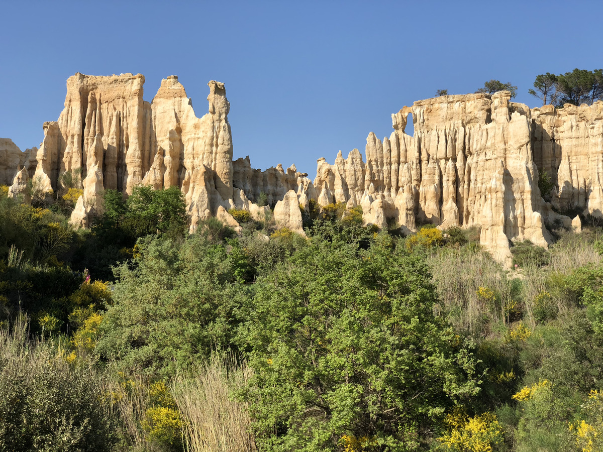 Photo France Orgues d'Ille Sur Tet 2018-04 46