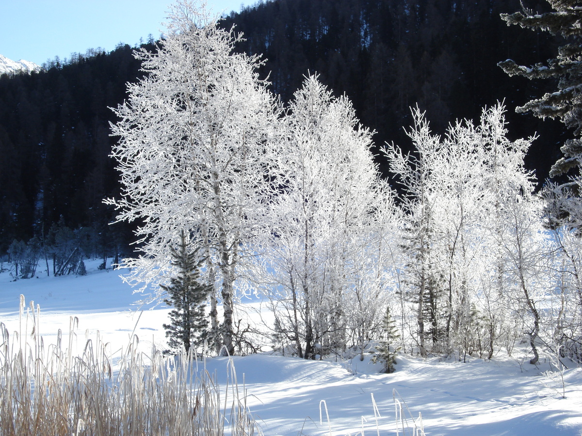 Photo Suisse Saint Moritz Schlarigna 2007-01 66