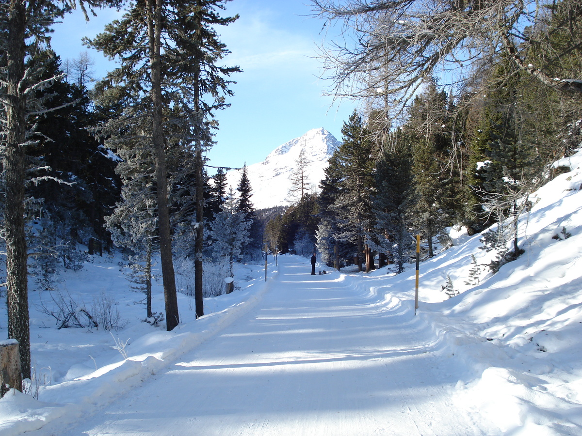 Photo Suisse Saint Moritz Schlarigna 2007-01 91
