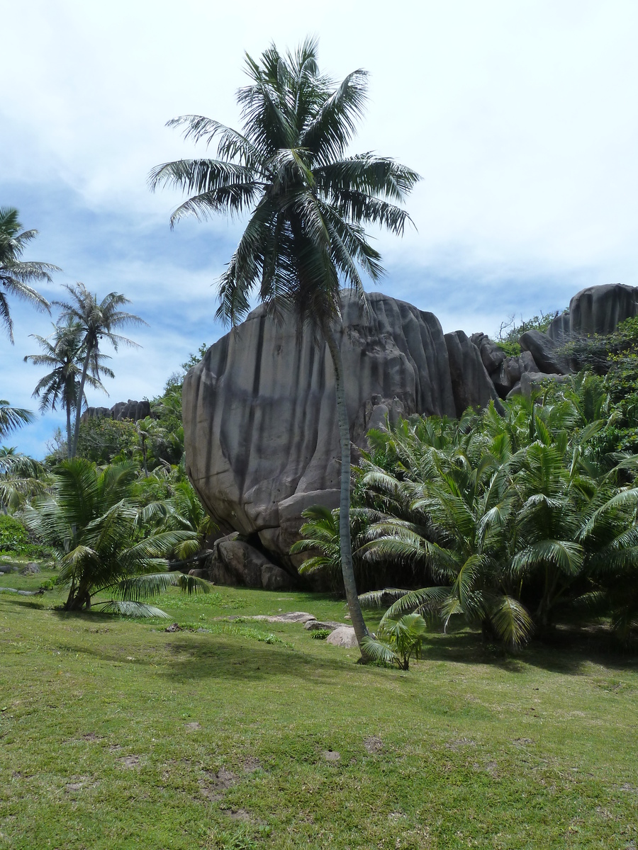 Photo Seychelles Grande Soeur 2011-10 113