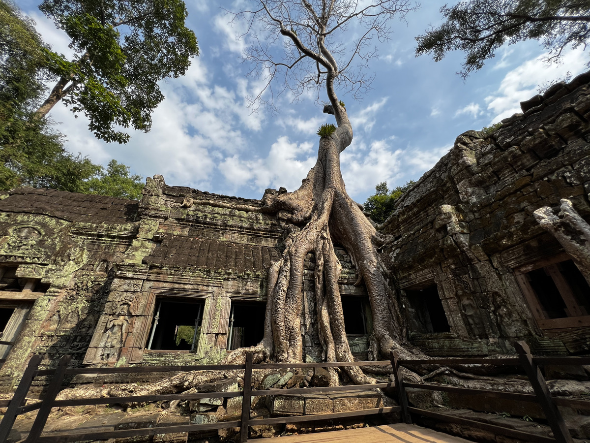 Photo Cambodge Siem Reap Ta Prohm 2023-01 104