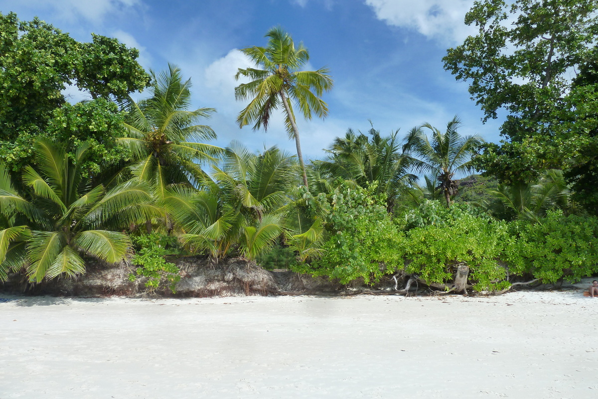 Photo Seychelles Anse Lazio 2011-10 149