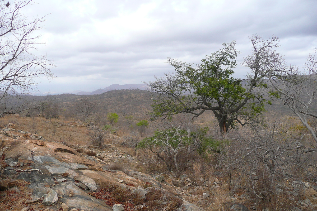 Photo Afrique du Sud Parc National Kruger 2008-09 164