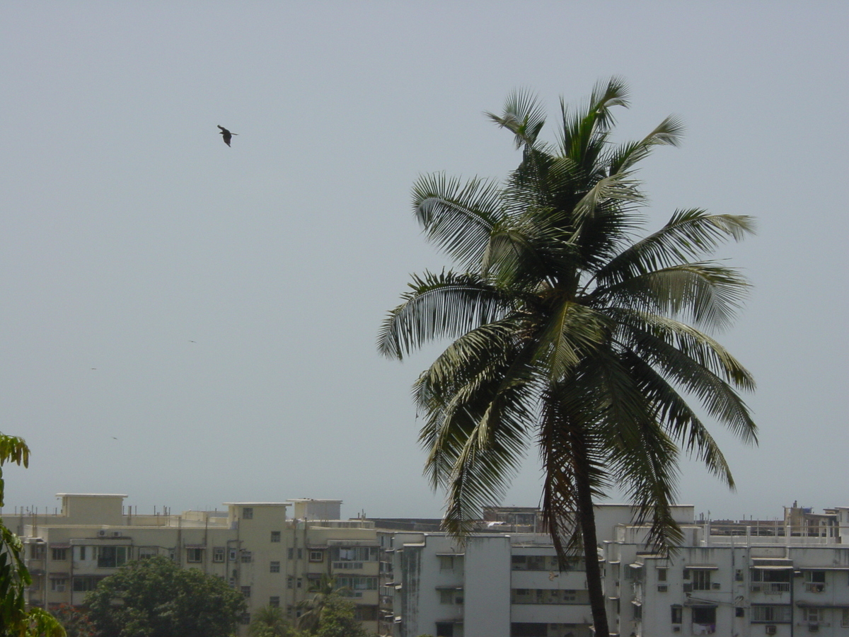 Photo Inde Bombay 2003-05 59