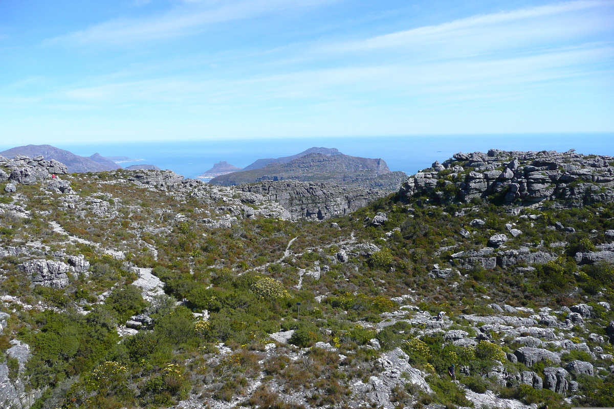 Photo Afrique du Sud Le Cap Montagne de la table 2008-09 88