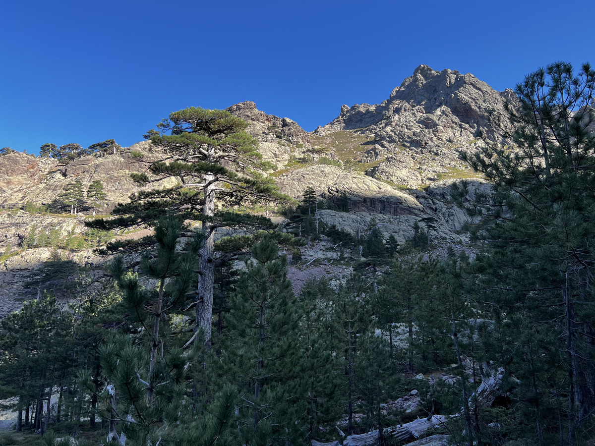 Photo France Corse Monte Cinto 2023-10 122