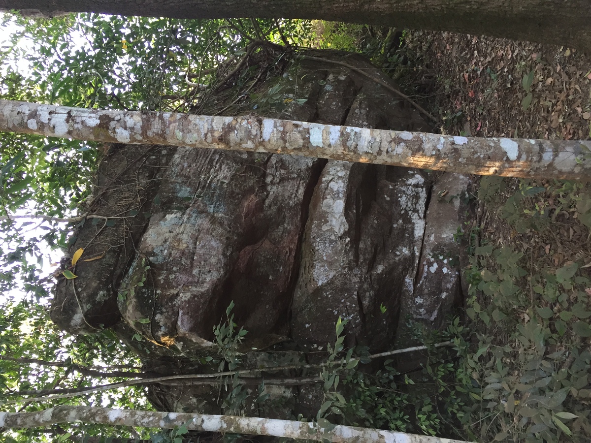 Photo Thaïlande Parc National Phu Hin Rong Kla 2014-12 417