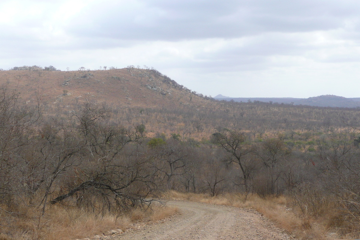 Photo Afrique du Sud Parc National Kruger 2008-09 45