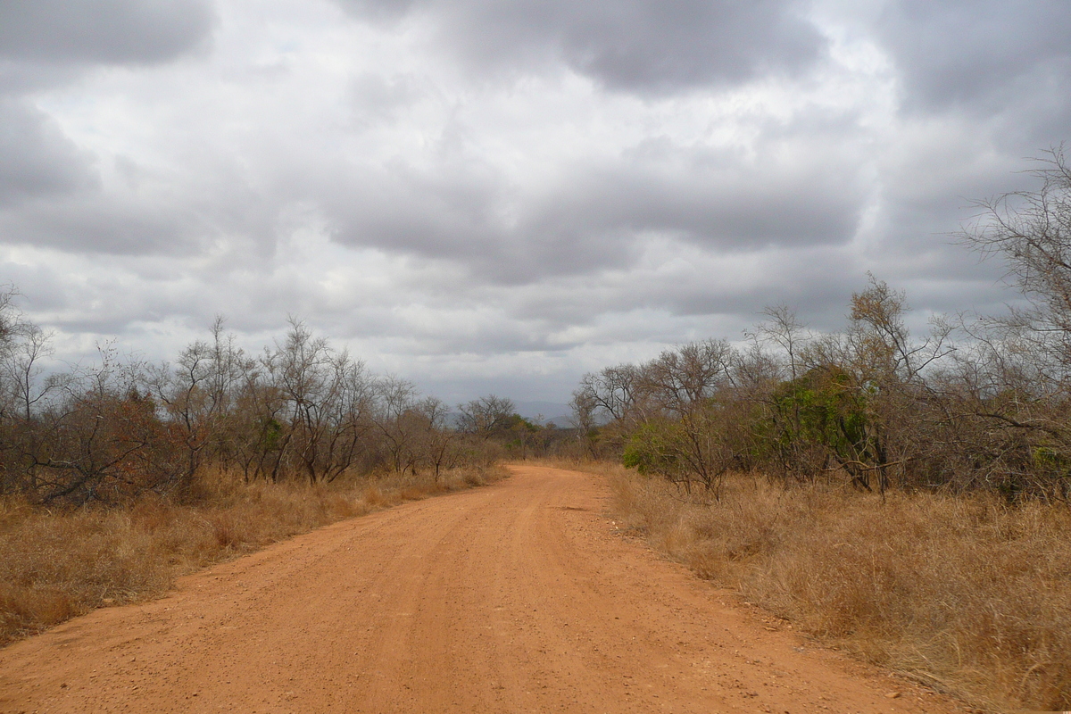 Photo Afrique du Sud Parc National Kruger 2008-09 79