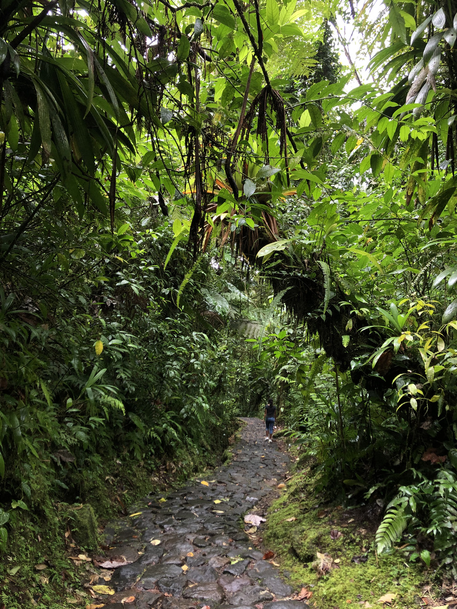 Photo Guadeloupe Chute du Carbet 2021-02 36