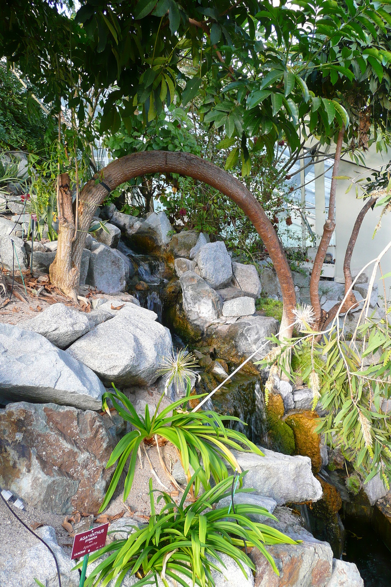Photo France Nice Parc Phoenix 2007-10 22