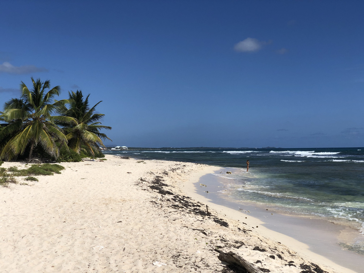 Photo Guadeloupe Saint François 2021-02 21