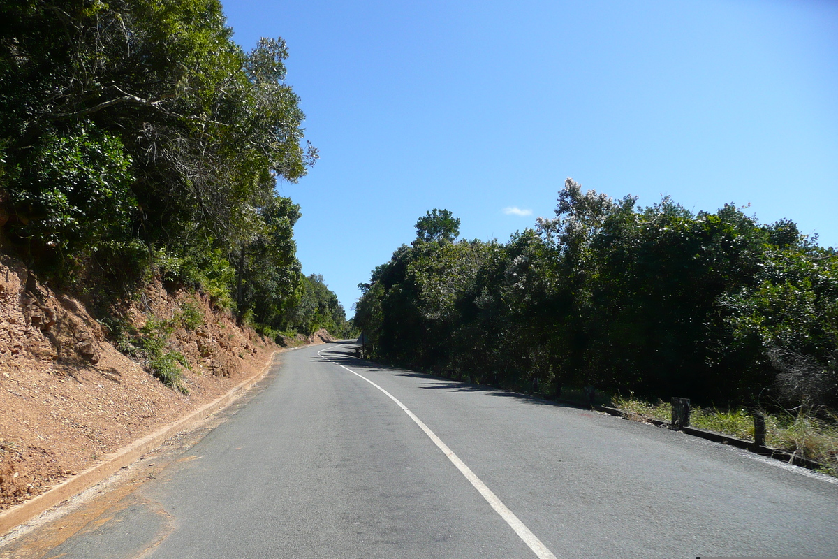 Photo Afrique du Sud Nature's Valley 2008-09 45
