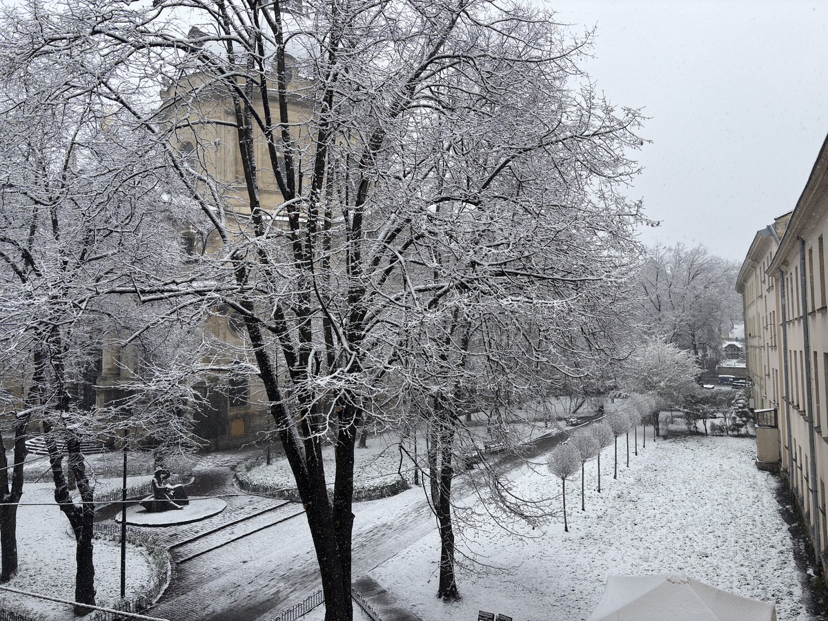 Photo Ukraine Lviv 2025-04 135