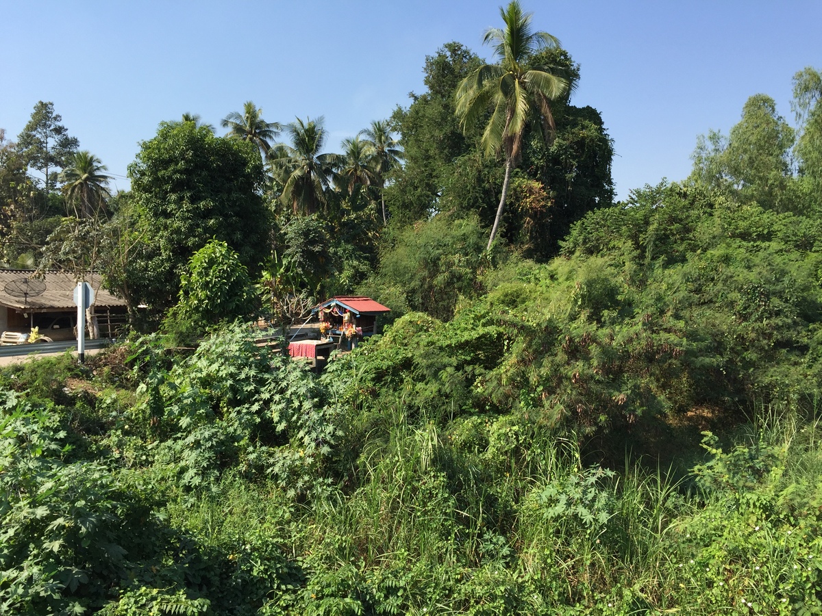 Photo Thaïlande Phitsanulok 2014-12 48
