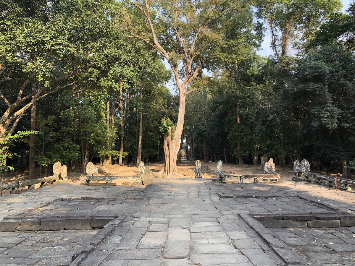 Photo Cambodge Siem Reap Banteay Kdei 2023-01 11