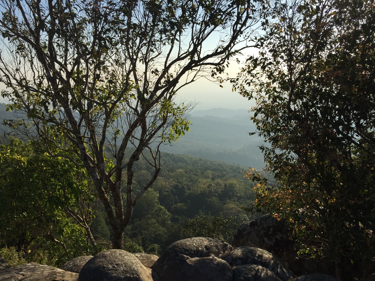 Photo Thaïlande Parc National Phu Hin Rong Kla 2014-12 356