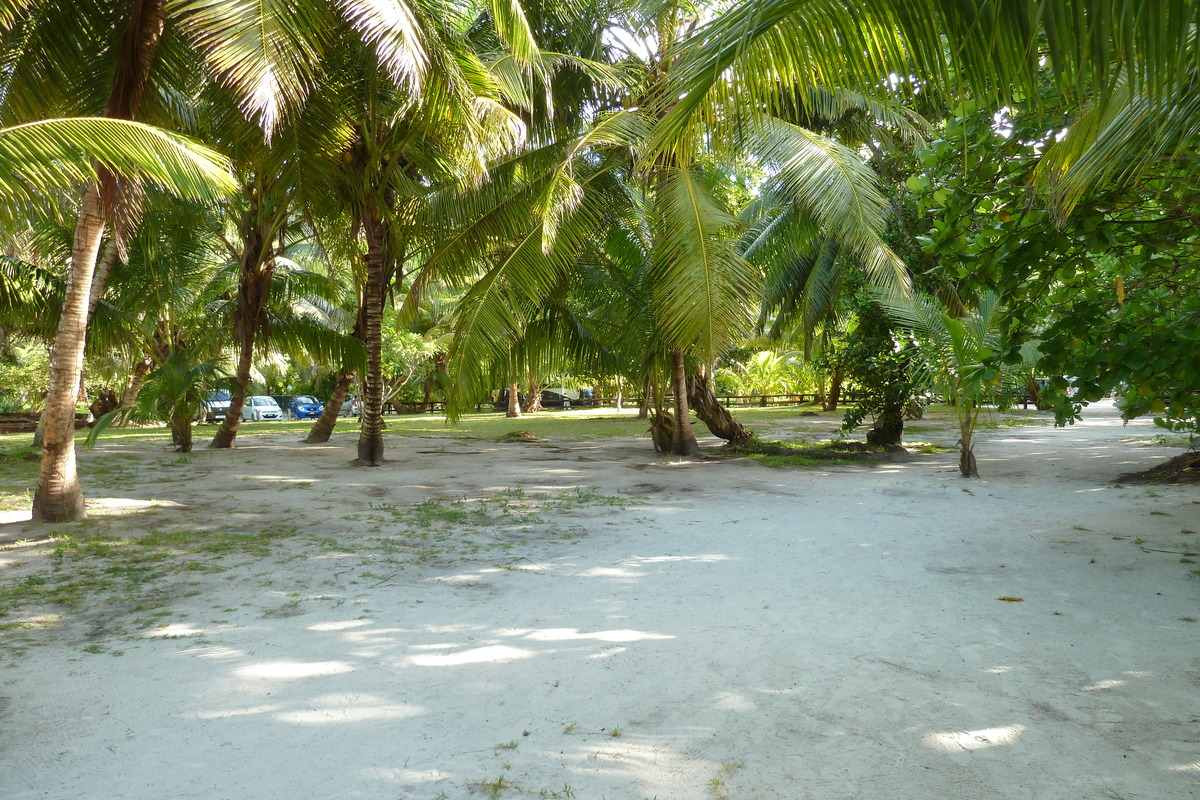 Photo Seychelles Anse Lazio 2011-10 79