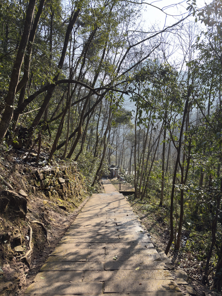 Photo Chine Zhangjiajie Mont Tianzi 2026-01 4