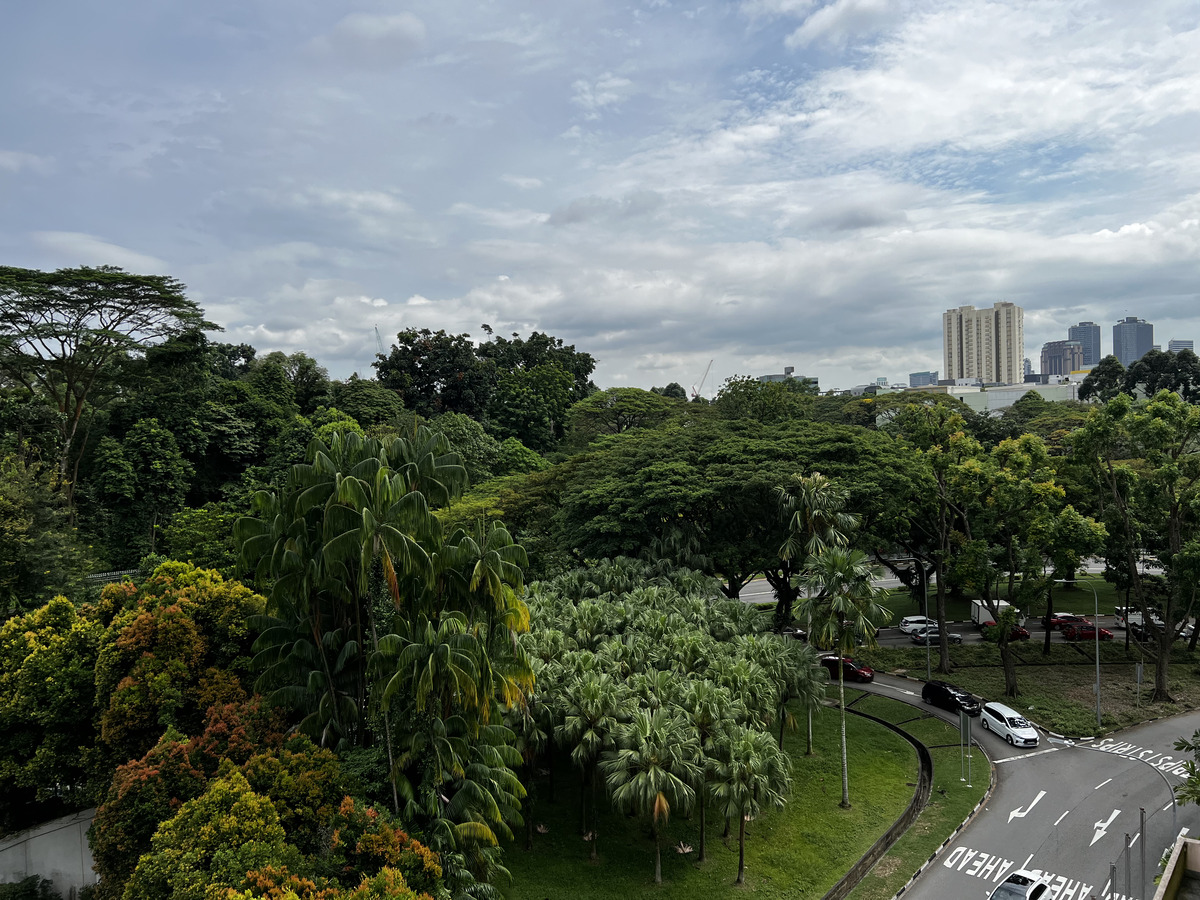 Photo Singapour 2023-01 80