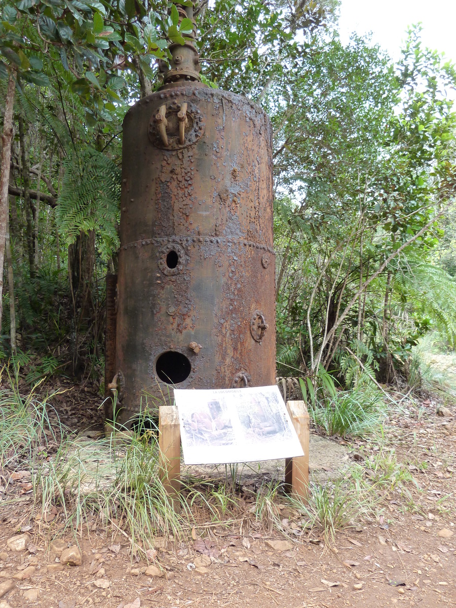 Photo Nouvelle-Calédonie Parc de la Rivière Bleue 2010-05 67