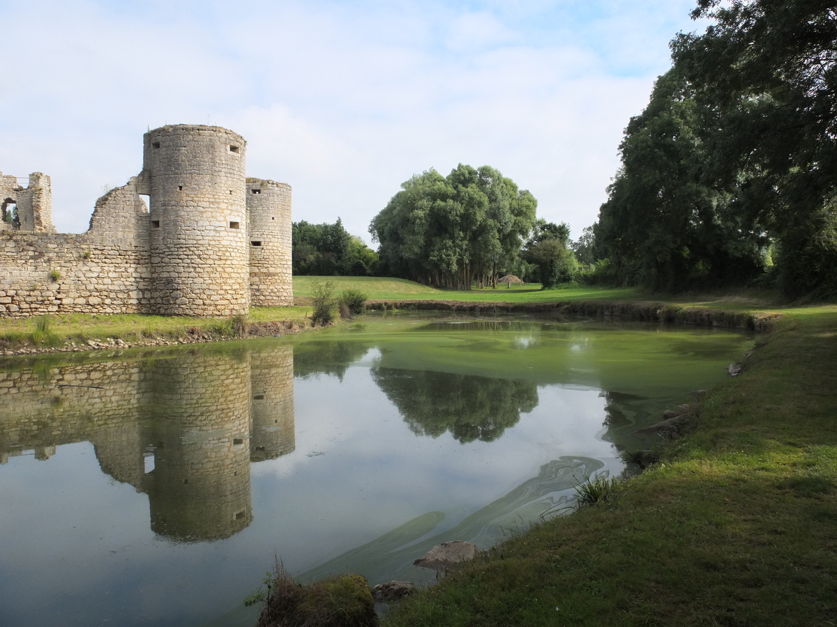 Photo France Commequiers 2012-07 13
